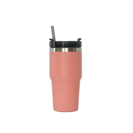 20 Oz Stainless Steel Tumbler with Straw - Peach by Creative Gifts