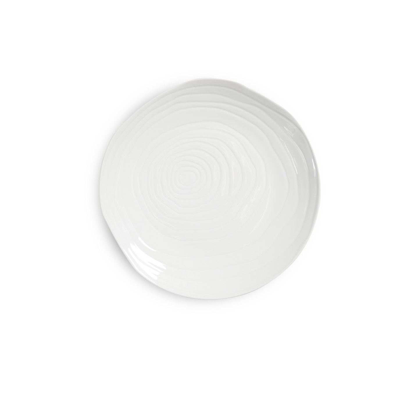 Teck 11" White Dinner Plates, Set of 4