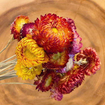 Captured Beauty Dried Flower Bunch-5