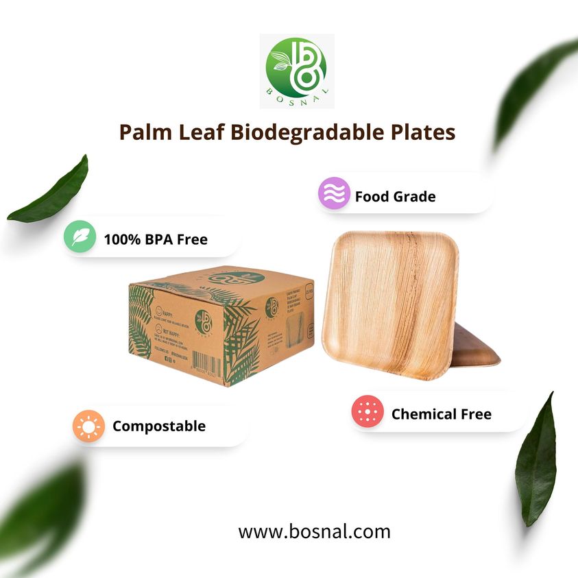 Bosnal - Palm Leaf Biodegradable Plates, 10 inch, Square, 25 Pcs-2