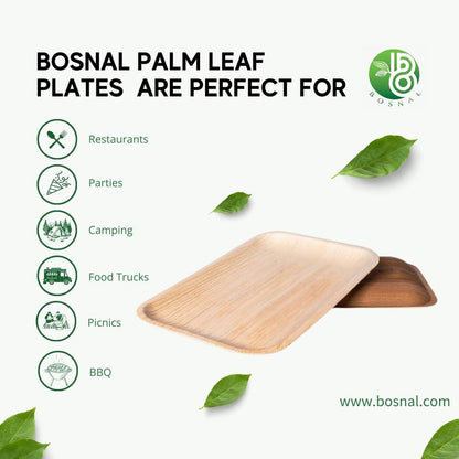 Palm Leaf Biodegradable Plates, 9 x 6 inch Rectangle , 25 Pcs-2