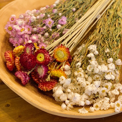 Captured Beauty Dried Flower Bunch-0