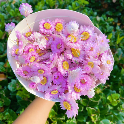 Captured Beauty Dried Flower Bunch-11