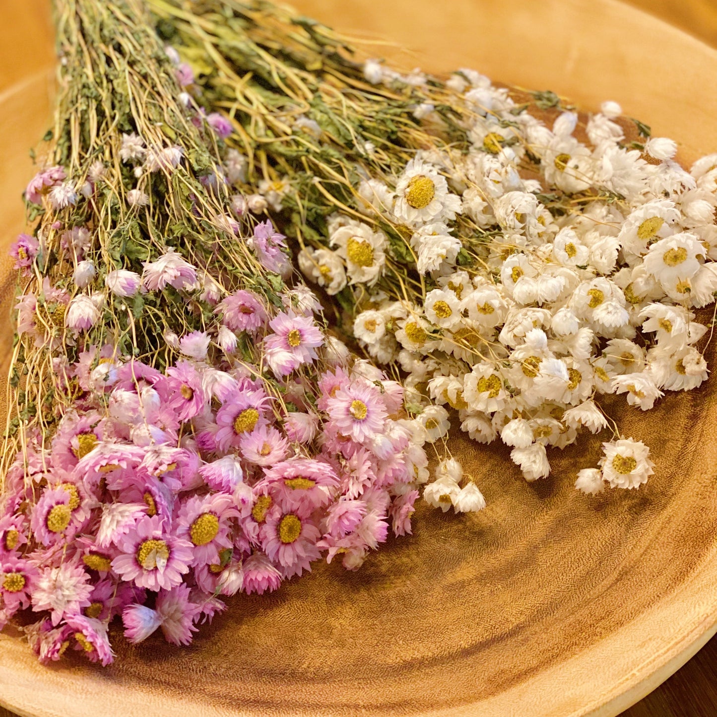 Captured Beauty Dried Flower Bunch-1