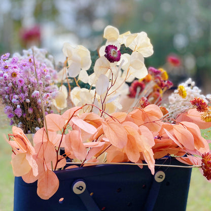 Captured Beauty Dried Flower Bunch-12