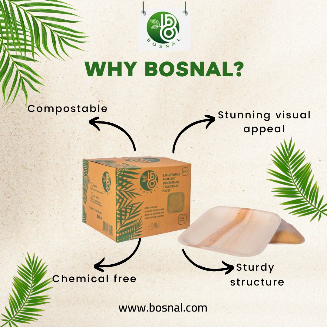 Bosnal - Palm Leaf Biodegradable Plates; 7 inch, Square, 25 Pcs-2
