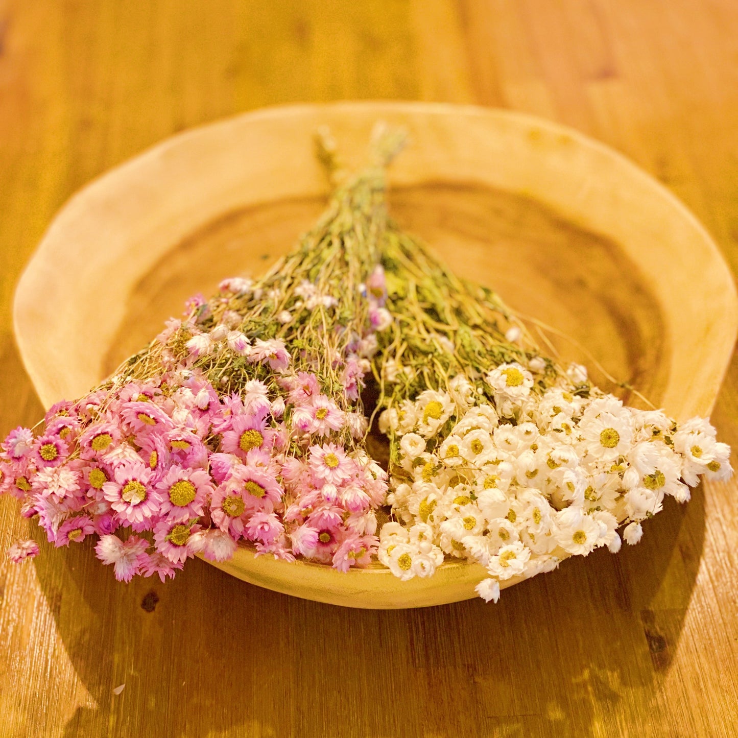 Captured Beauty Dried Flower Bunch-9