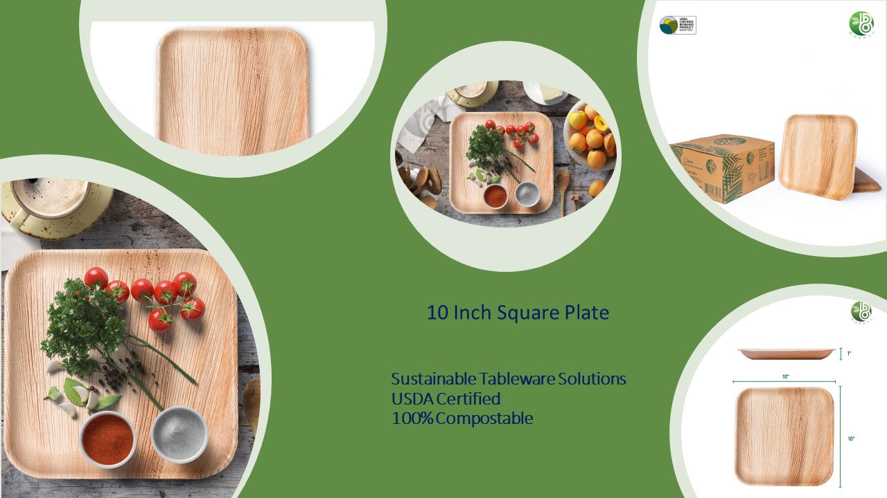 Bosnal - Palm Leaf Biodegradable Plates, 10 inch, Square, 25 Pcs-6