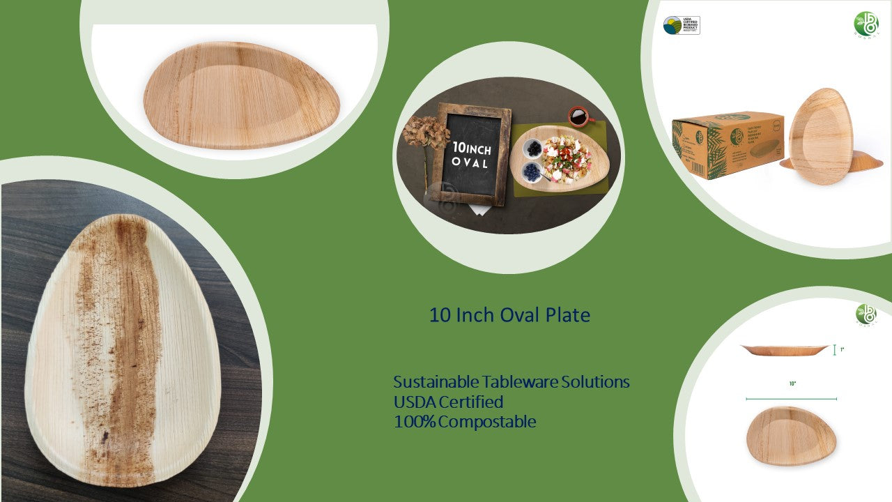 Palm Leaf Biodegradable Plates, 10 inch, Oval, 25 Pcs-6