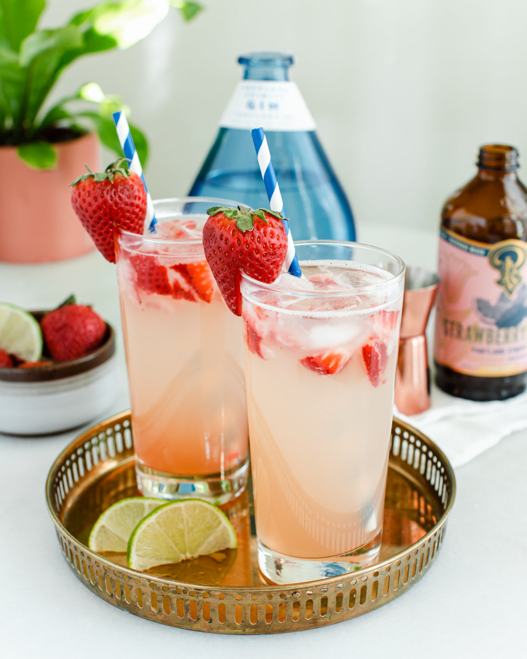 Strawberry Lemon-Lime Syrup two-pack - Mixologist Warehouse