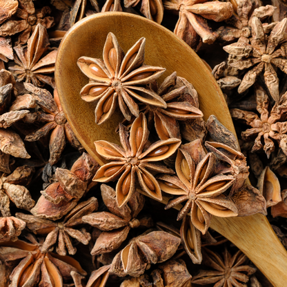 Dried Anise Stars -9