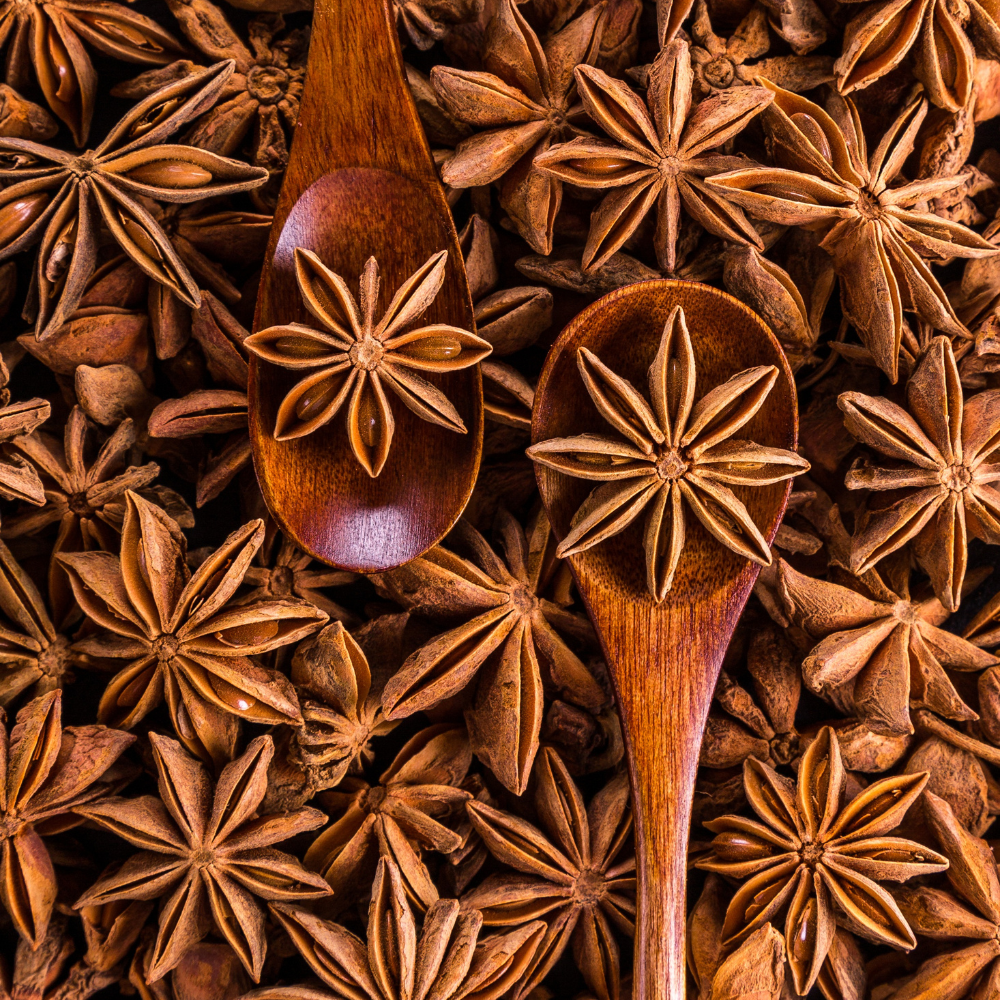 Dried Anise Stars -15