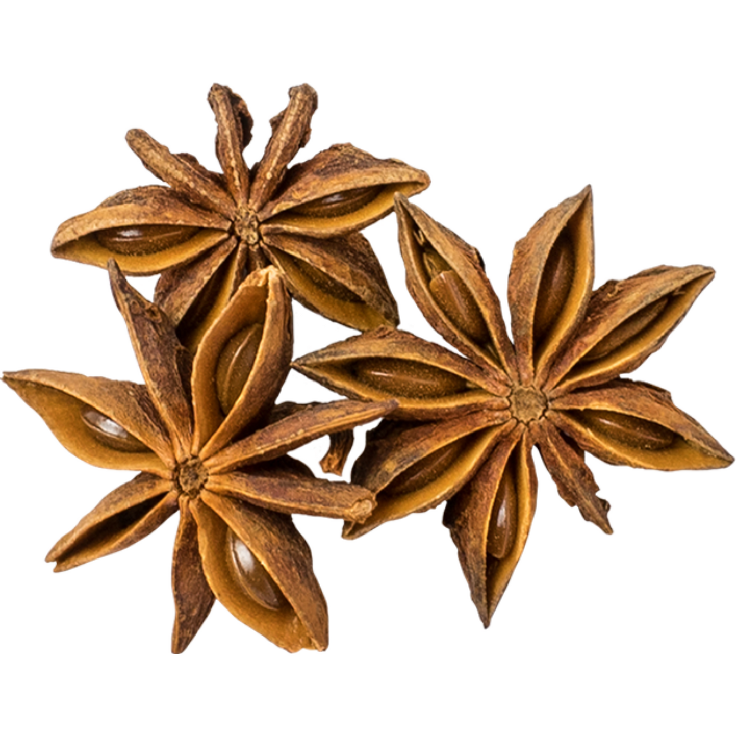 Dried Anise Stars -14