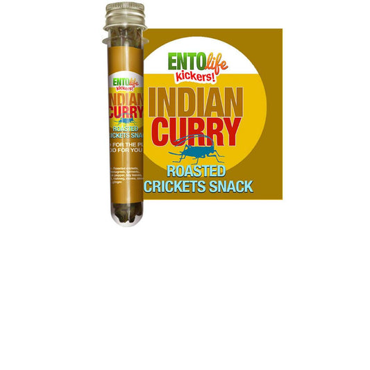 Indian Curry Roasted Cricket Snack Tubes - 6 x 10g