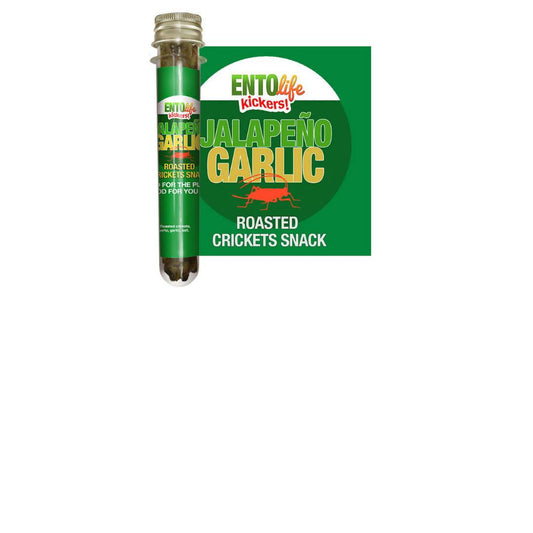 Jalapeno Garlic Roasted Cricket Snack Tubes - 6 x 10g