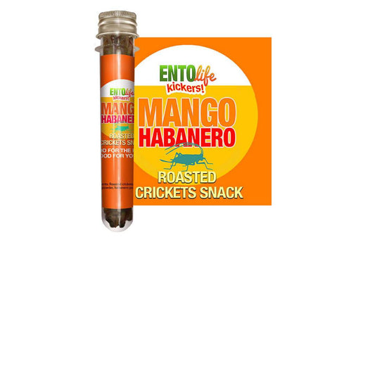 Mango Habanero Roasted Cricket Snack Tubes - 6 Pack