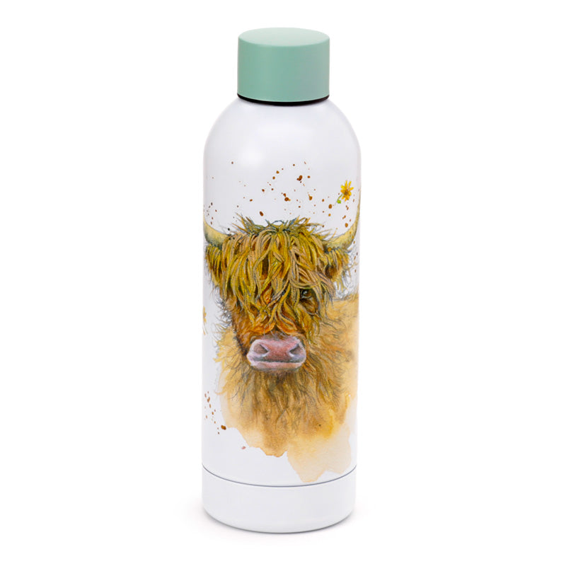 Reusable Stainless Steel Insulated Drinks Bottle 530ml - Jan Pashley Highland Coo Cow  BOT205-0