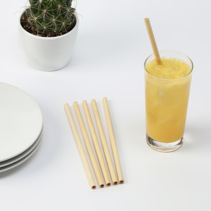 Bamboo Straws, Set of 10 by True