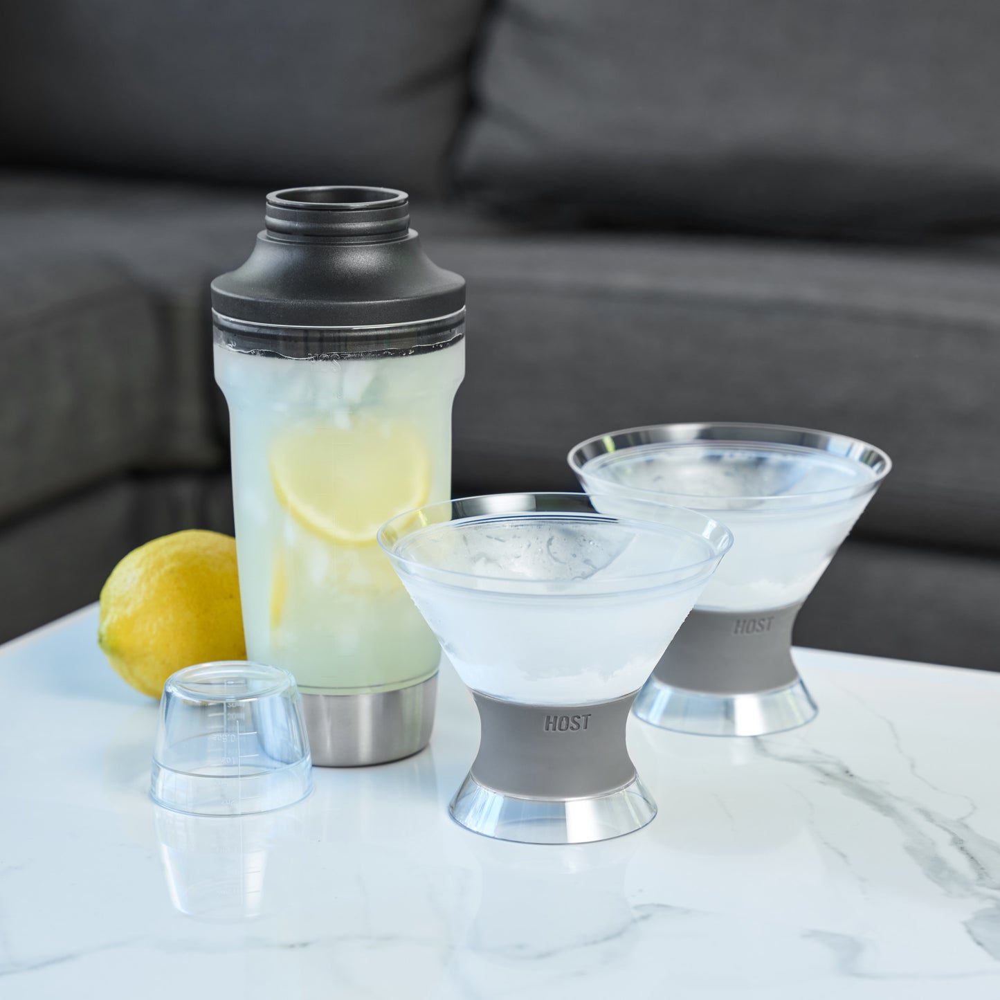 Martini FREEZE and Cocktail Shaker by HOST Bundle