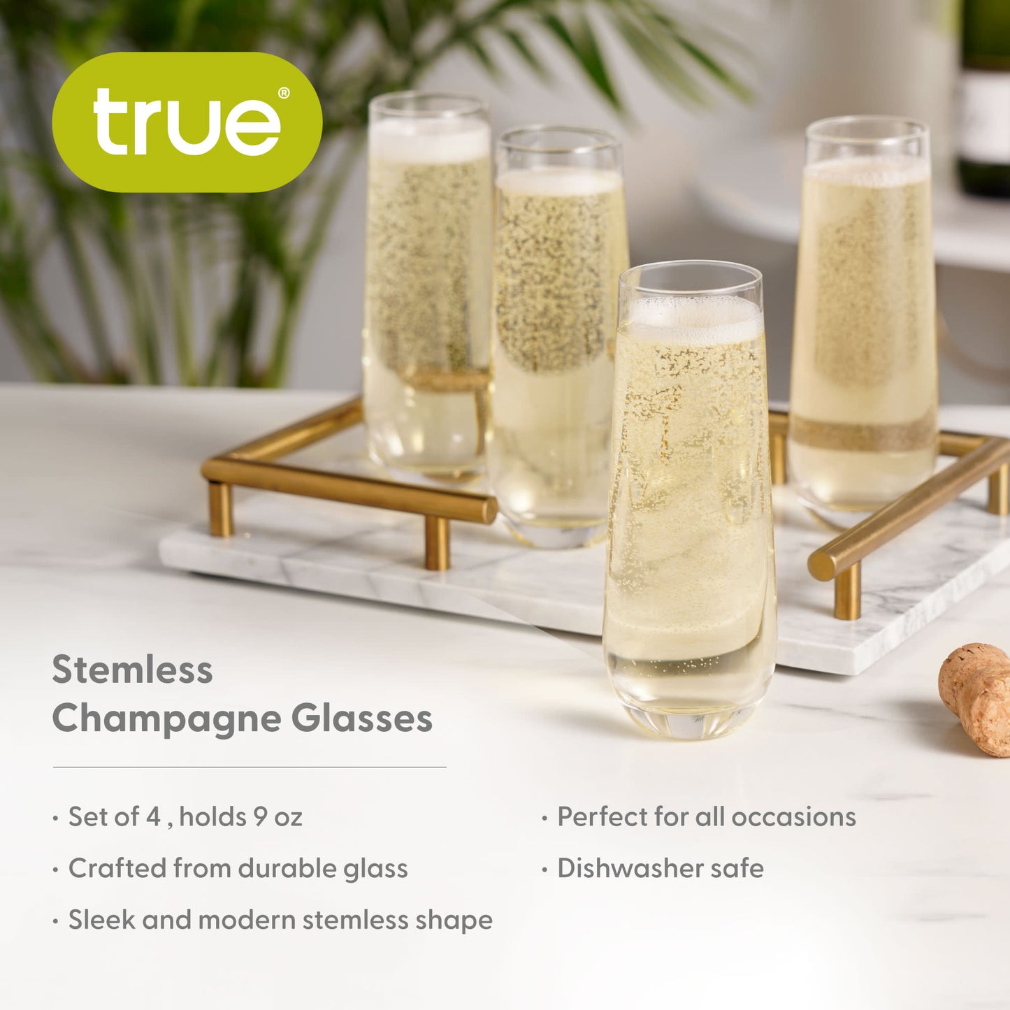 Stemless Champagne Flute by True set of 4